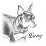 Lucy Portrait